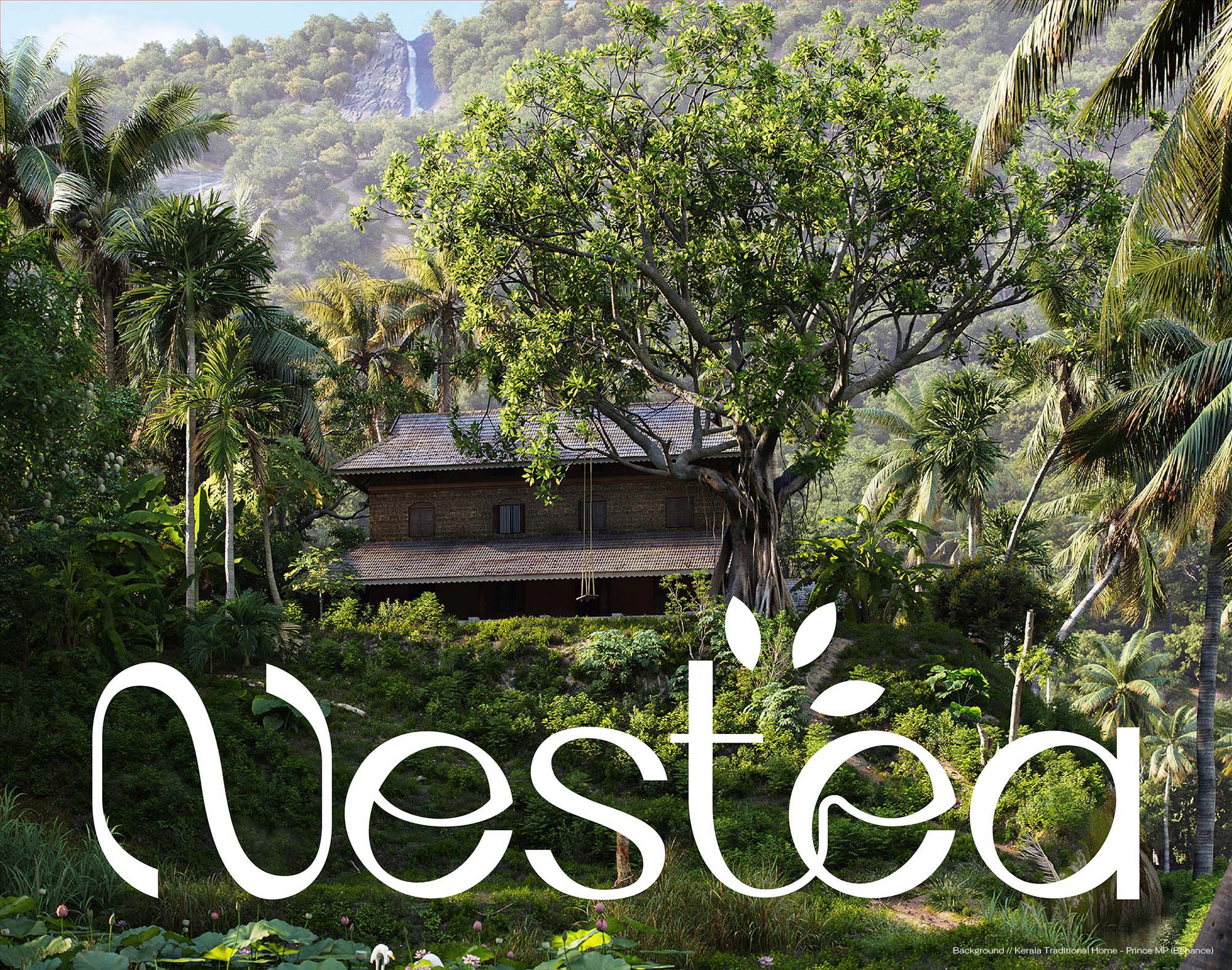 Suggestion de présentation du logo Nestea avec un visuel de forêt tropicale en arrière-plan