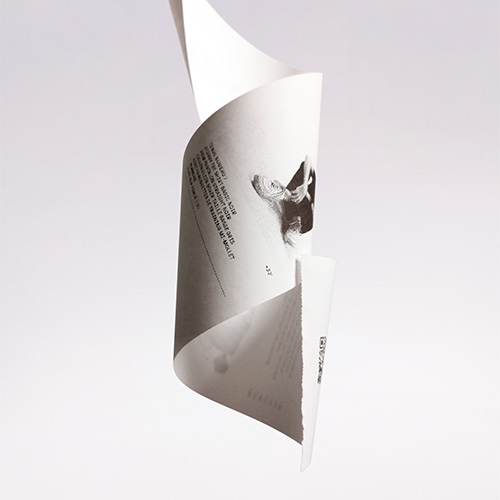 Ticket de caisse